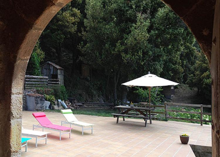 mas-les-romagueres-8