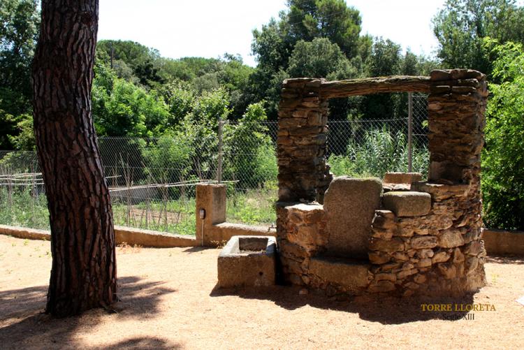 masia-torre-lloreta-s.xiii-3