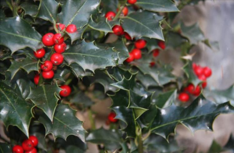 casa-rural-maria-antonia-5