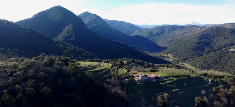 Mas Pineda