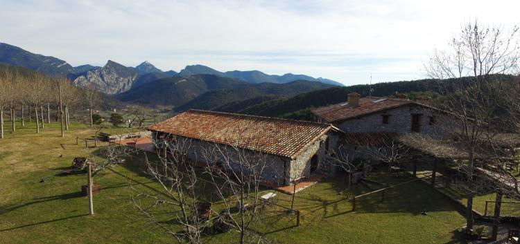 mas-pineda-1
