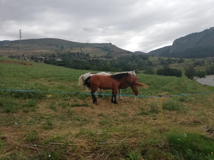 alojamiento-rural-cal-fornet-3