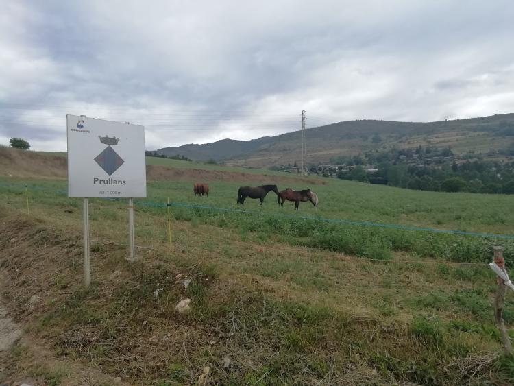 alojamiento-rural-cal-fornet-4