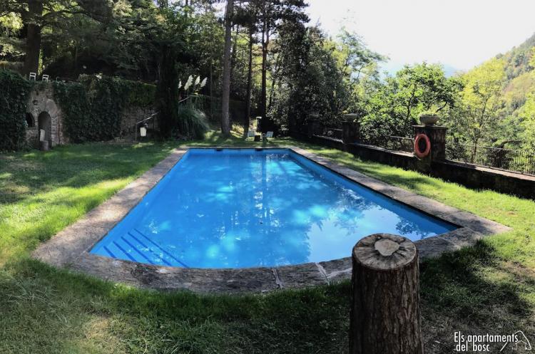 els-apartaments-del-bosc-4
