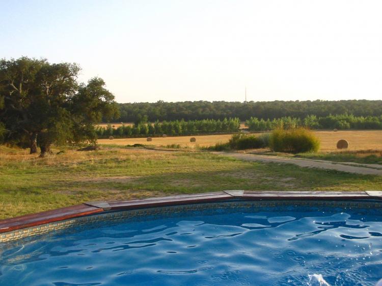 la-pahissa-de-can-abras-6