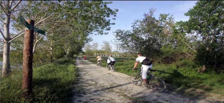 mas-peraquintana-i-albornar-4