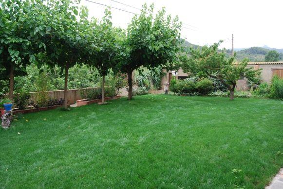 les-moreres-9