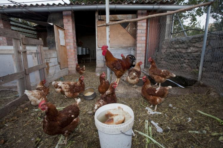 casa-pairal-espasa-4