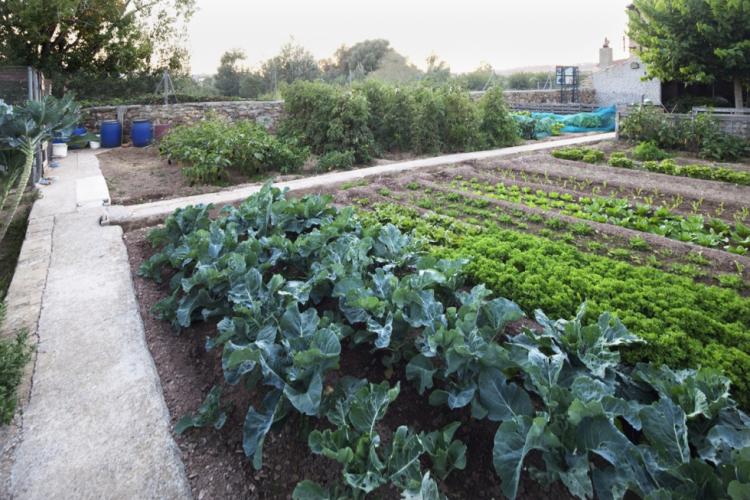 casa-pairal-espasa-9