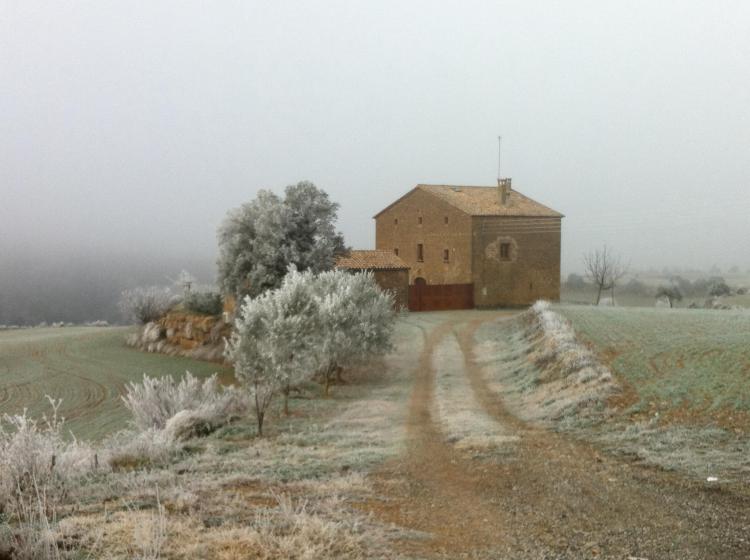 cal-rossinyol-5