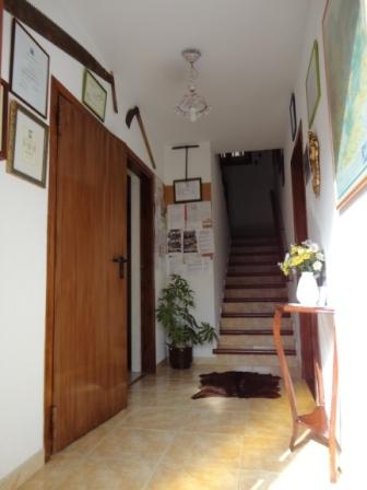 casas-artigues-5