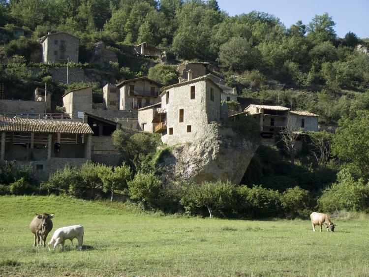 Cal Pallerola