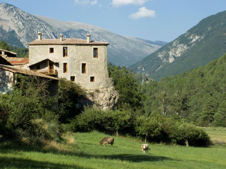 cal-pallerola-7