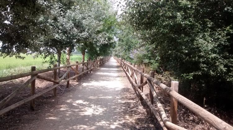 petita-teneriffa-9