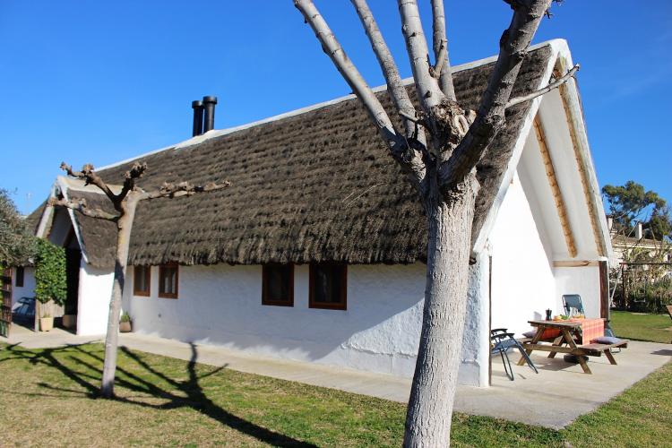 barraca-verda-4