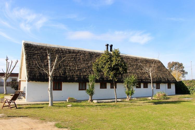 barraca-verda-5