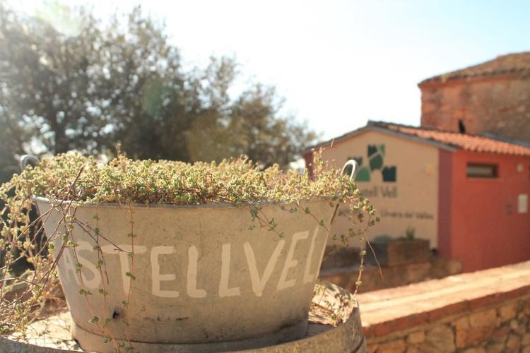castell-vell-1