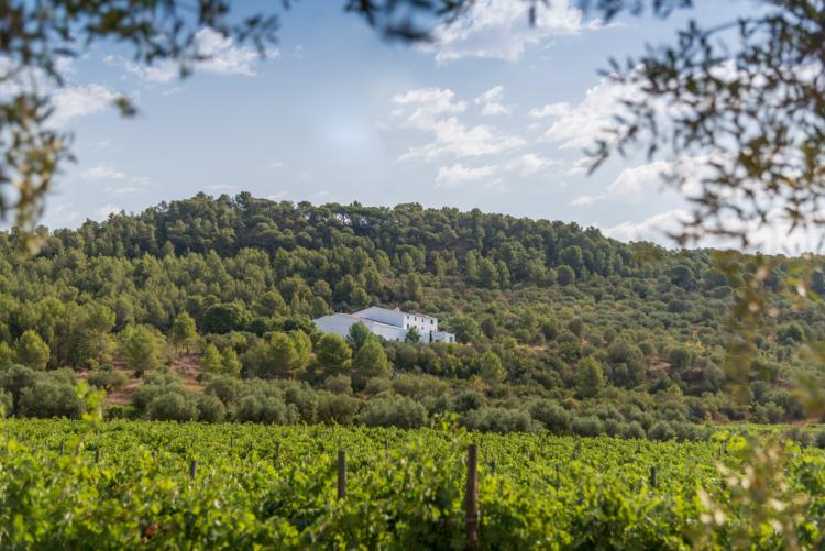 maset-de-la-costa-1