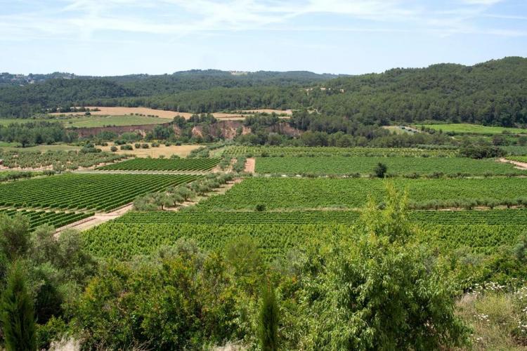 maset-de-la-costa-8