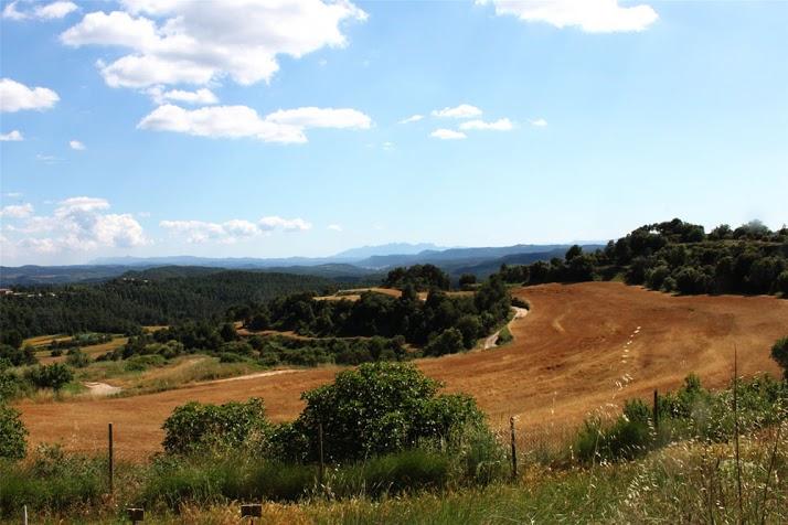 pla-de-moixons-7