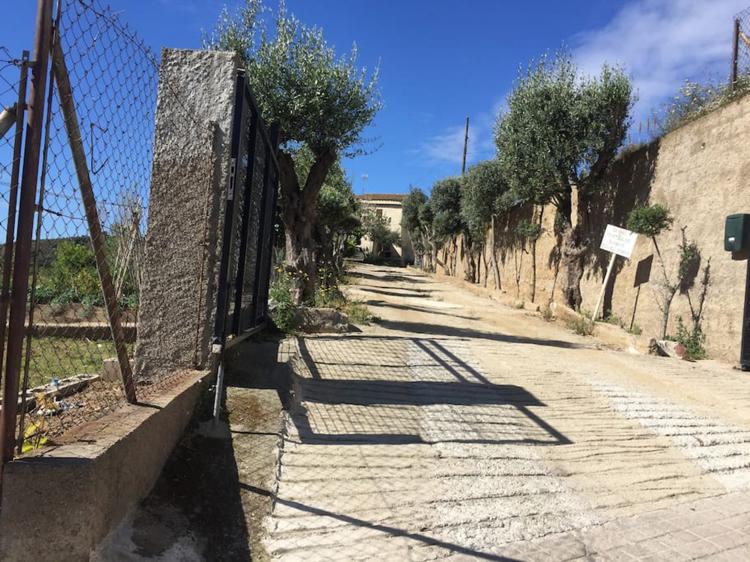 can-tramontana-6