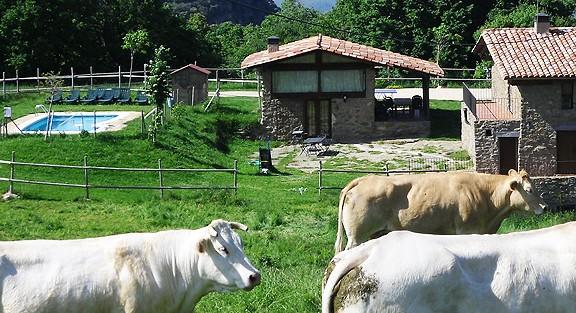 finca-la-coromina-6