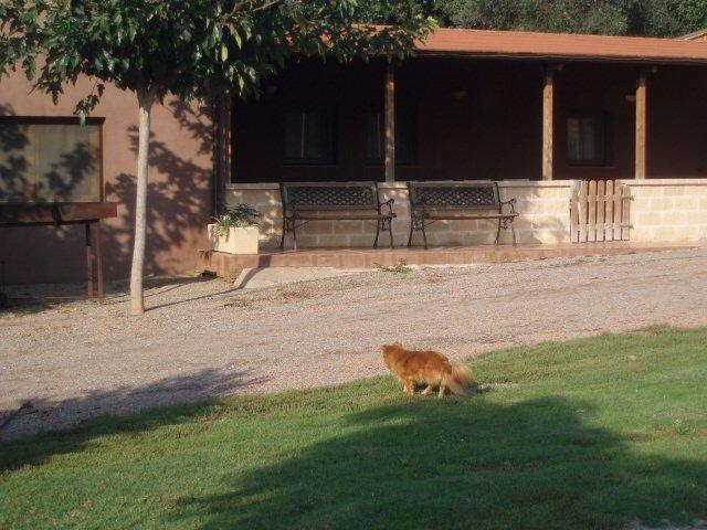 masoveria-can-vador-6