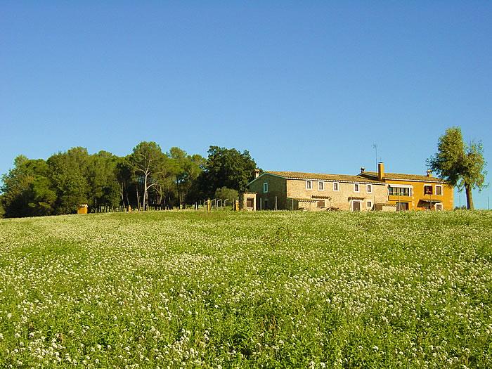 cal-duc-3