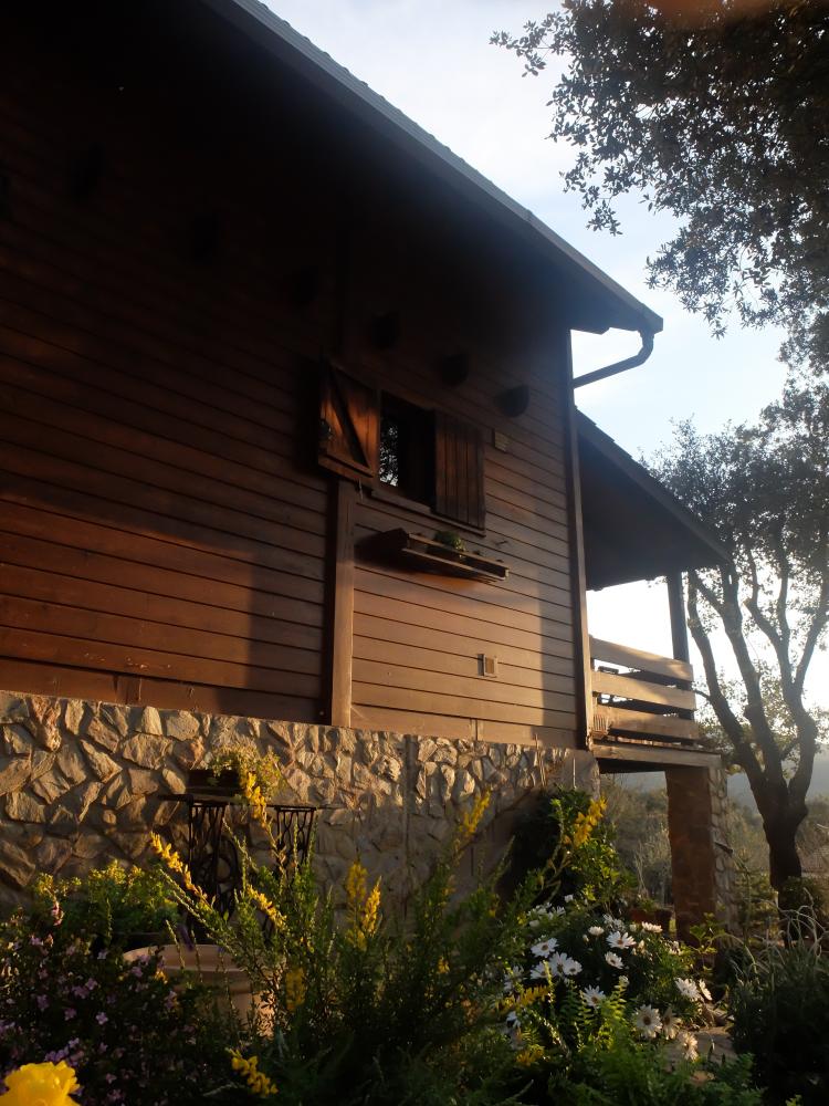 la-casa-de-fusta-1
