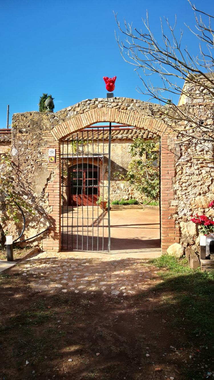 B&B Mas del Llop blanc
