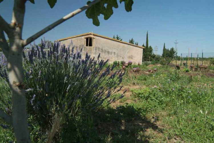mas-la-ginesta-1