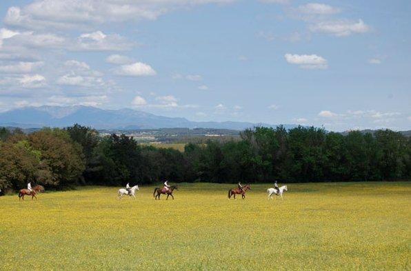granja-ecuestre-can-sort-8
