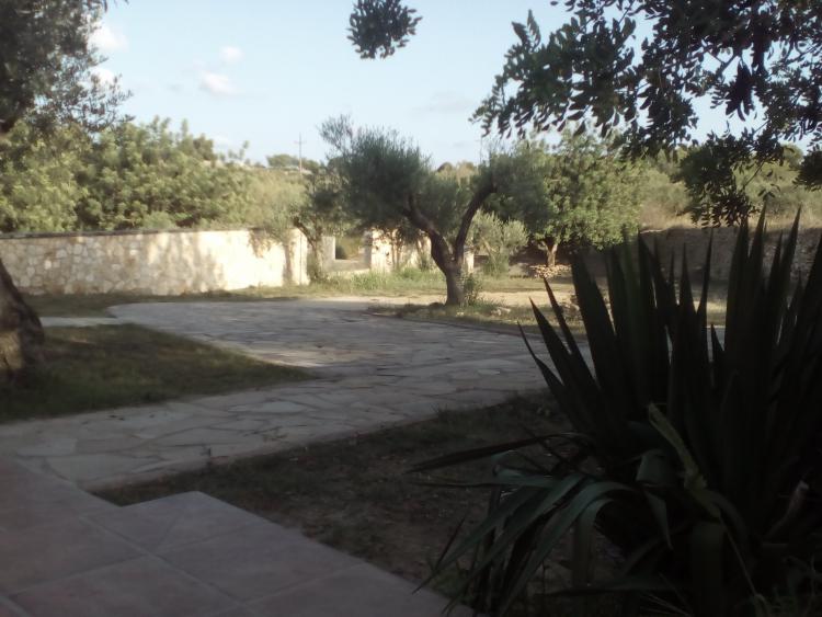 el-mirador-1