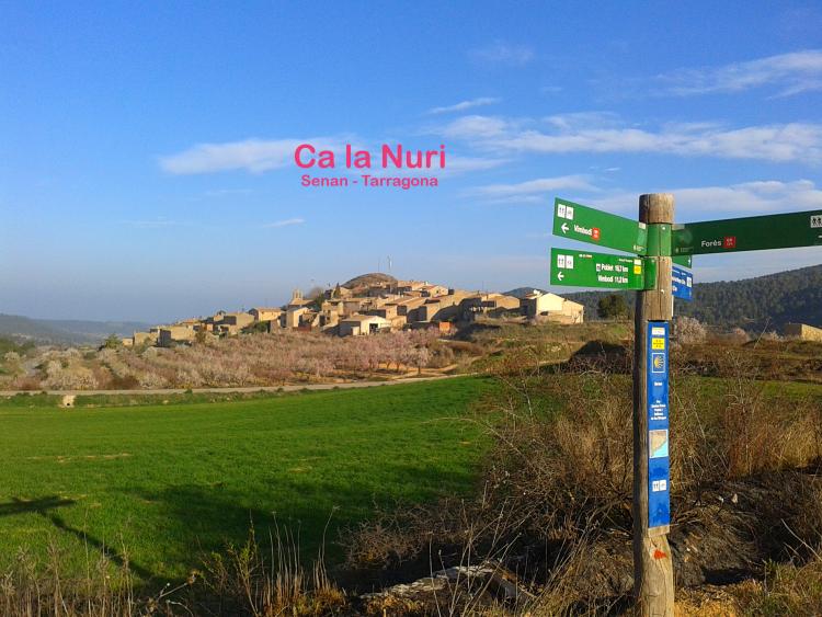 Ca la Nuri