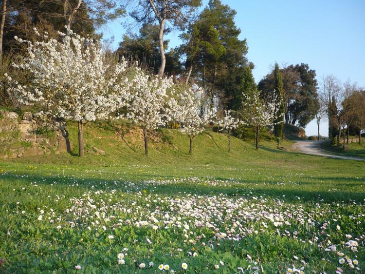 la-pahissa-del-dalmau-4