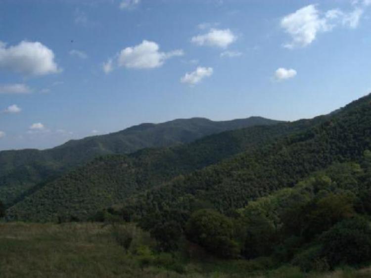 can-presas-1