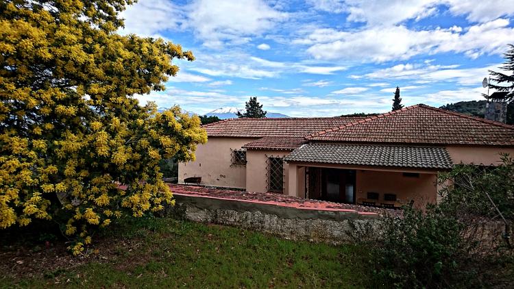 cansanjoan-1