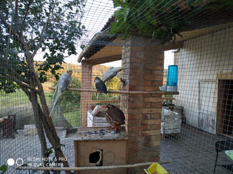 El Raco dels Obiols