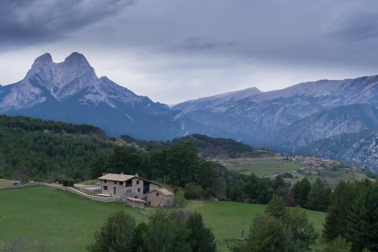 Cal Pajant