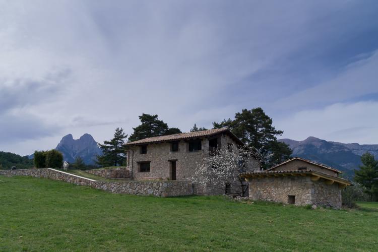 cal-pajant-1