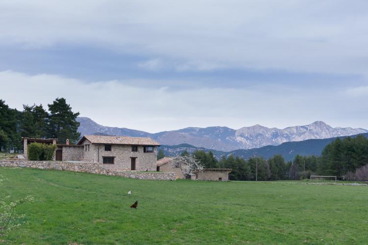 cal-pajant-2