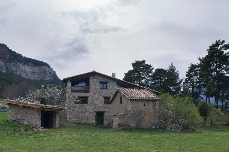 cal-pajant-3