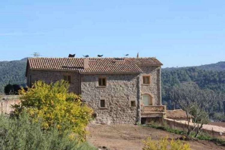 l-alzina-de-merola-7