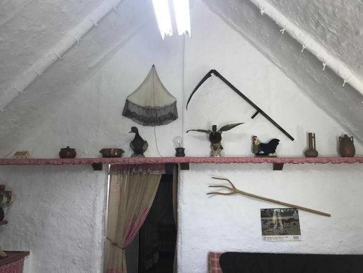 barraca-joanet-de-pataco-8