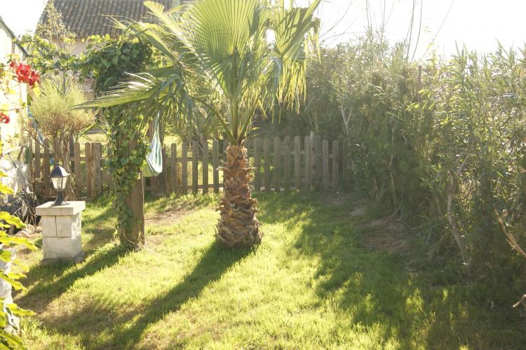 f.-pep-de-nelis-1-y-2-9