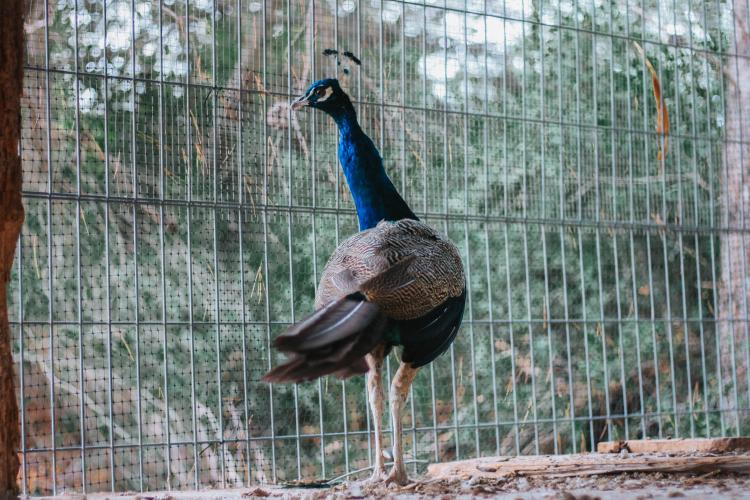 hotel-hort-de-fortunyo-6