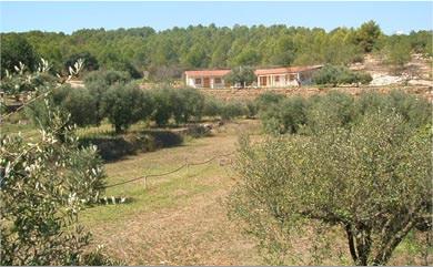 la-xaconera-d-ardenya-9