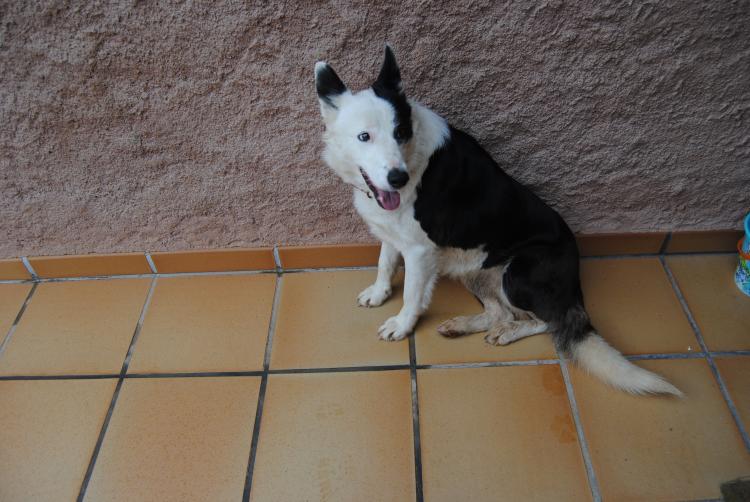 el-mas-de-vilalleons-6