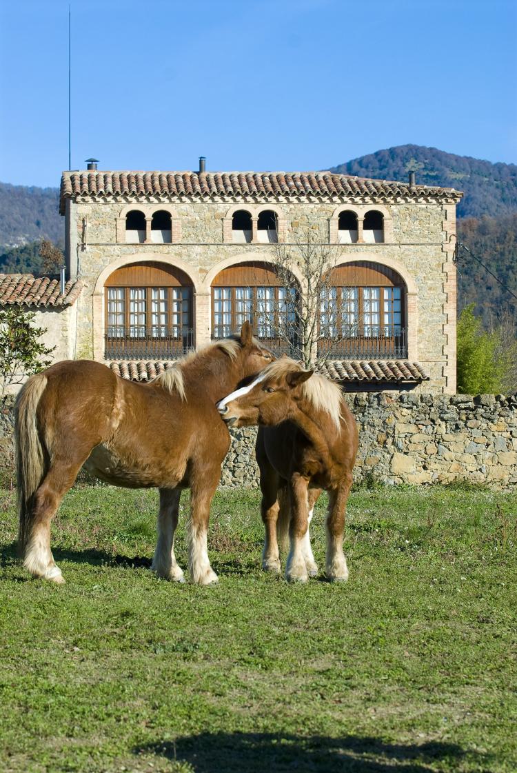 mas-el-pla-de-besora-7