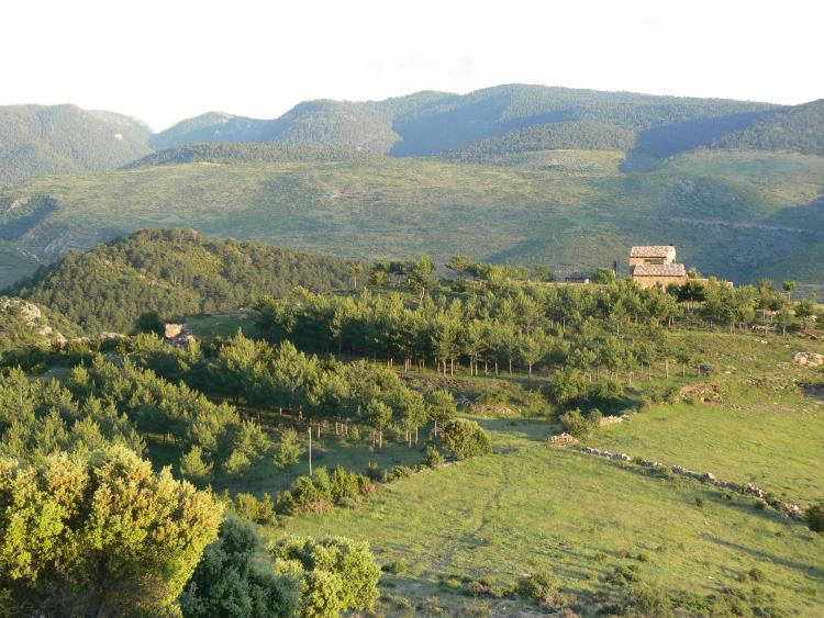 buseu-casa-rural-felip-2